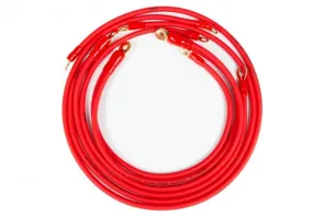 2002-06 Nissan Altima / Nissan Sentra Grounding Kit [Red Wires] - 606330R