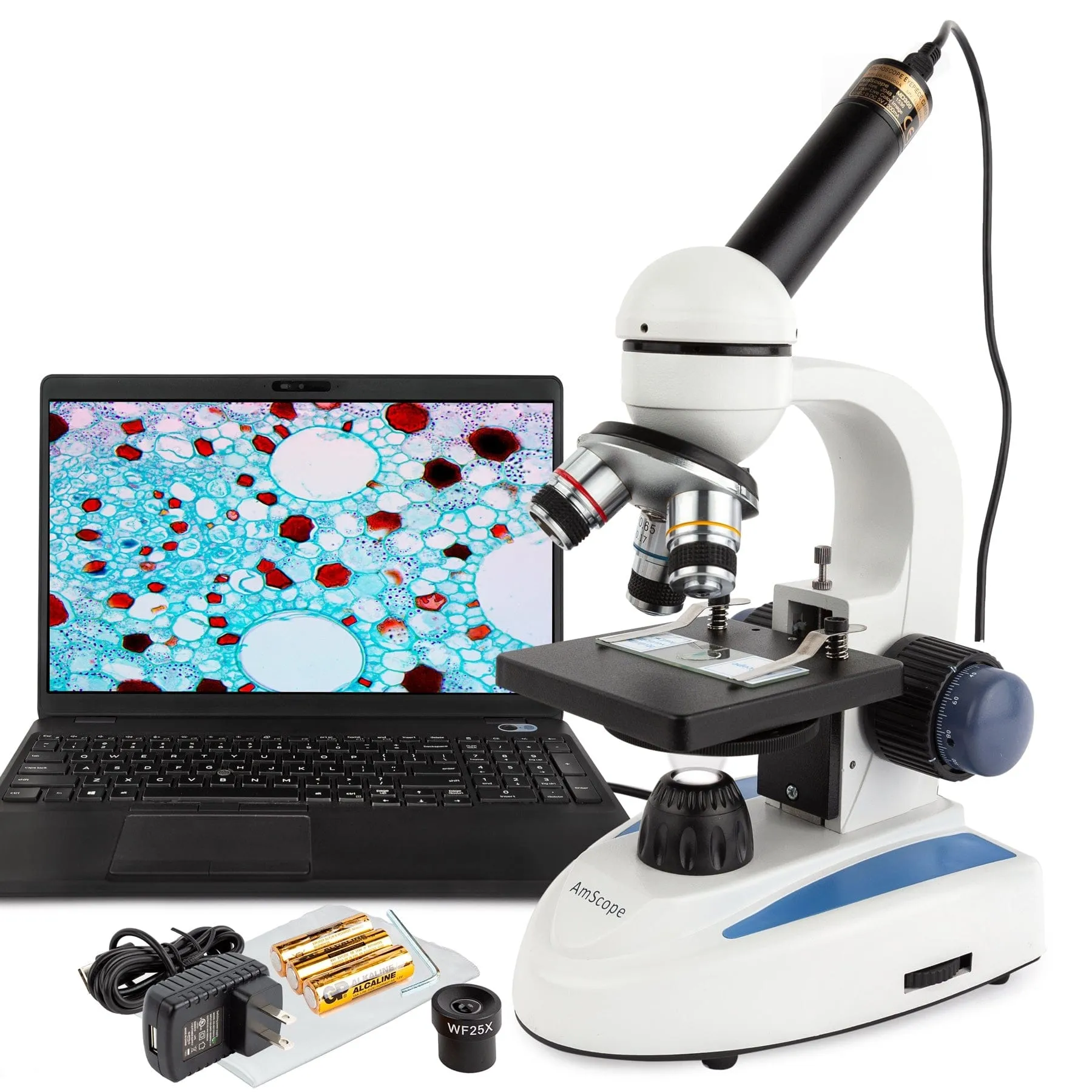 AmScope M158 Series Student Cordless Monocular Compound Microscope 40X-1000X Magnification with Top & Bottom Lights and 2MP USB Digital Camera