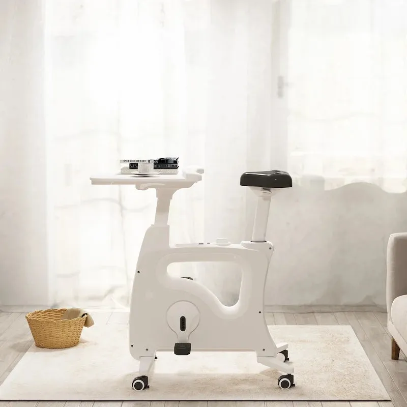 ERGOWORKS - EW-F209DT-WHV2 - All-In-One Desk Bike (White)