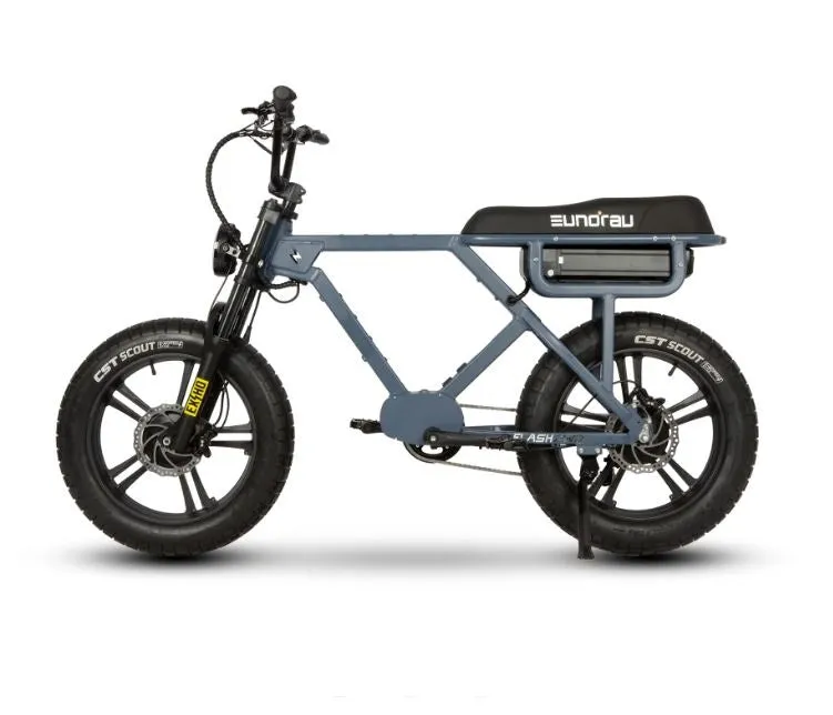 Eunorau Flash 52v 750/1500w Fat Tire E-Bike